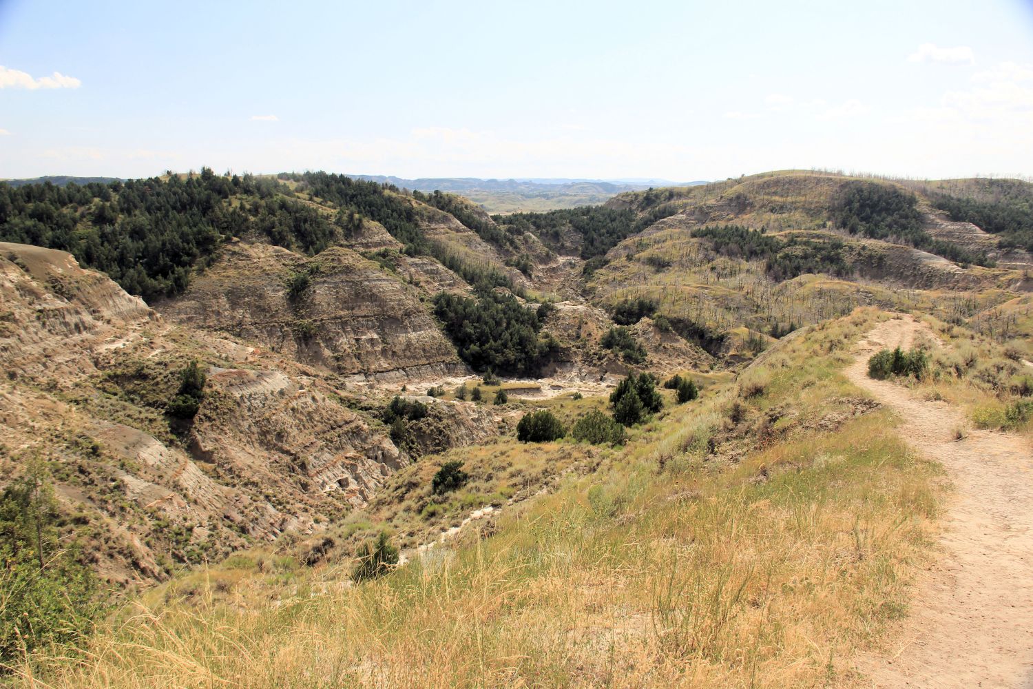 South Unit Scenic Highway and Hikes 